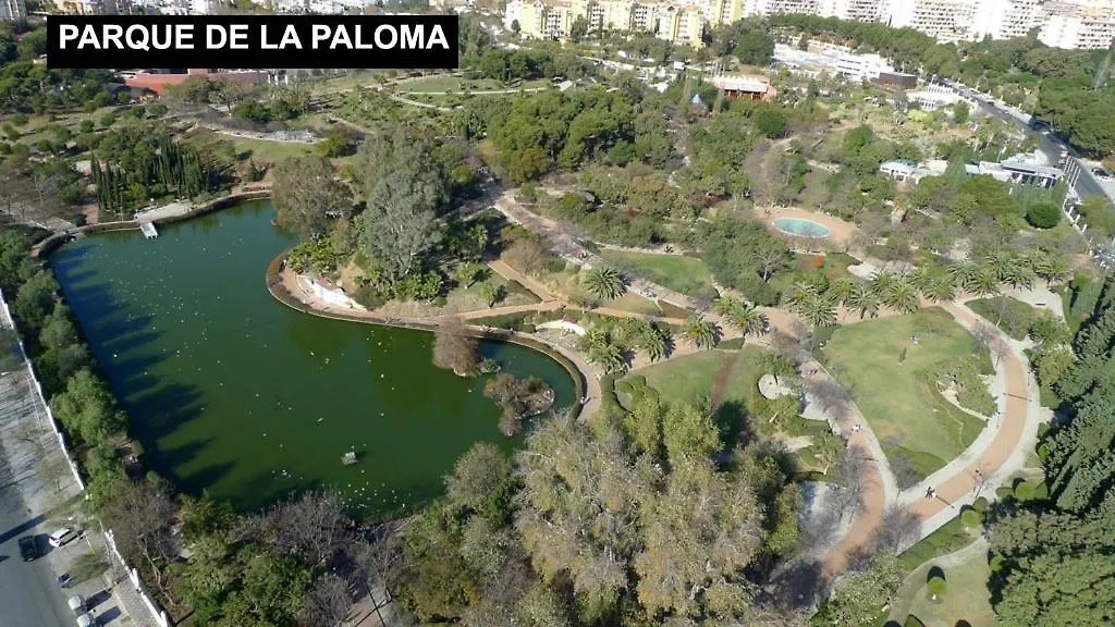 Estudio Benalbeach Primera Linea De Playa Benalmádena Διαμέρισμα
